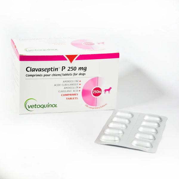 CLAVASEPTIN P 250 MG C/100 COMPRIMIDOS