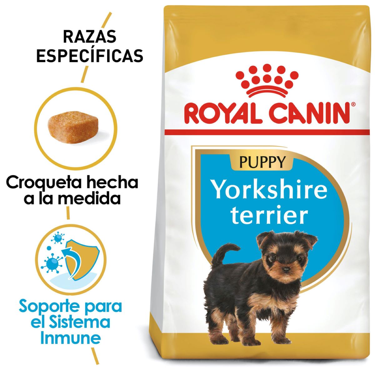 Yorkshire Terrier Puppy  1.3 Kg. Profesional