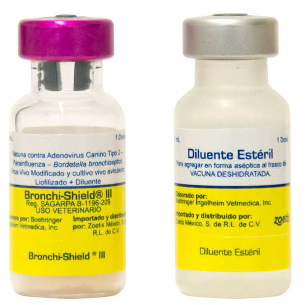 BRONCHISHIELD III 1 ds. ( BORDETELLA )