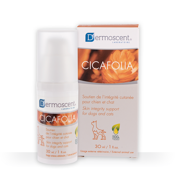 CICAFOLIA 30 ML