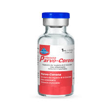 PARVO CORONA 1 ds VACUNA
