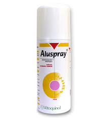 ALUSPRAY AER ENV 210 ML