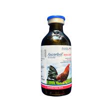 ASCORBOL INY. 50ml.