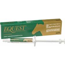 EQUEST 12.2g.