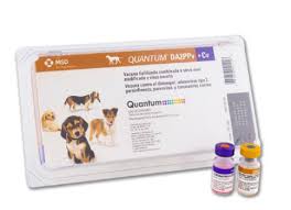 QUANTUM DOG DA2PPv+Cv