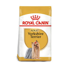YORKSHIRE TERRIER 4.54 kg