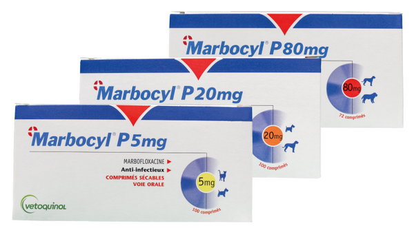 MARBOCYL P 20 MG  C/100 COMPRIMIDOS