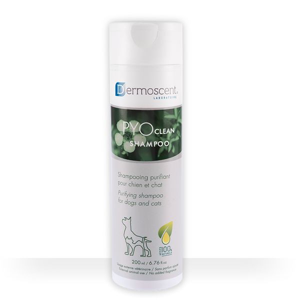 SHAMPOO PYO CLEAN 200 ML