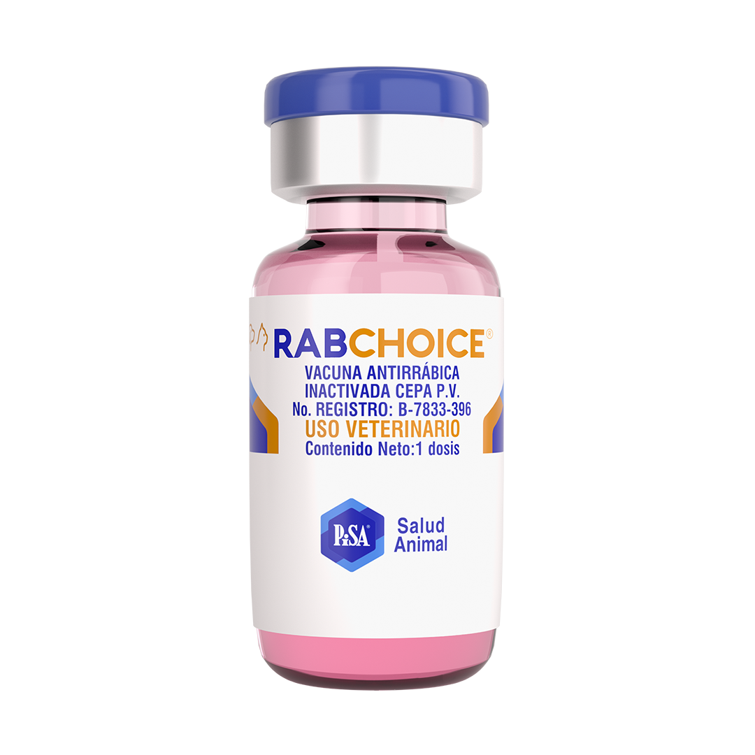 RABCHOICE (RABIA PISA)