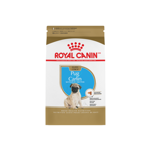 PUG PUPPY 1.1 KG