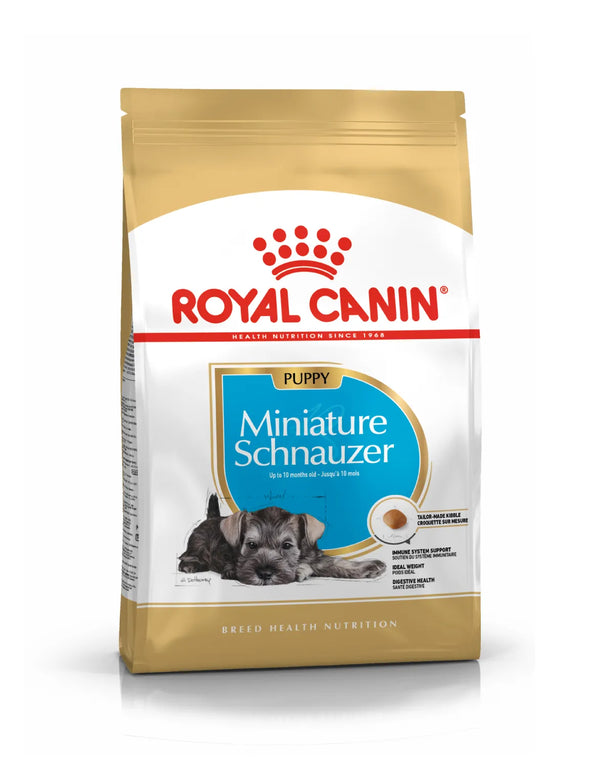 SCHNAUZER PUPPY 1.1 KG