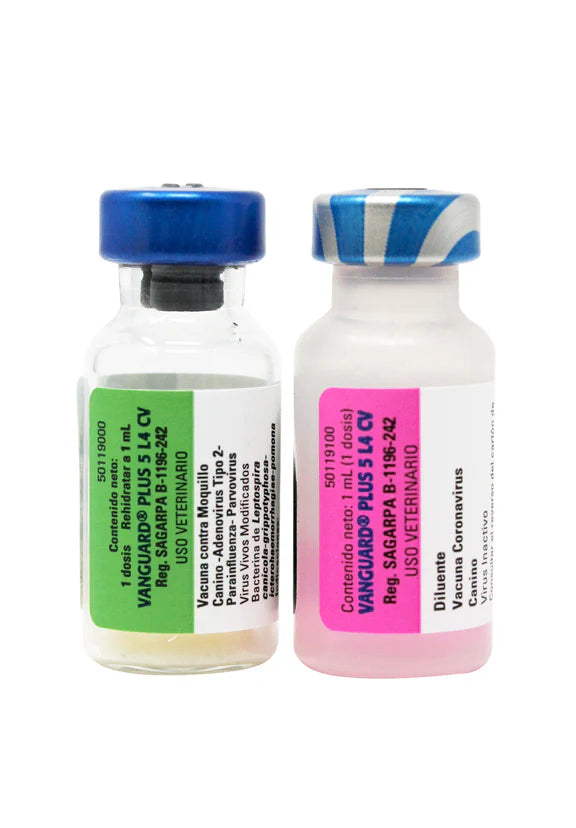 VANGUARD PLUS 5/L4-CV