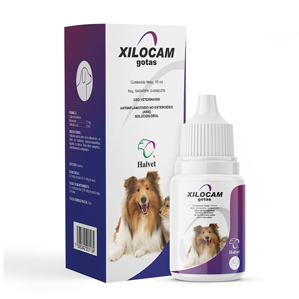 XILOCAM GOTAS 10 ML