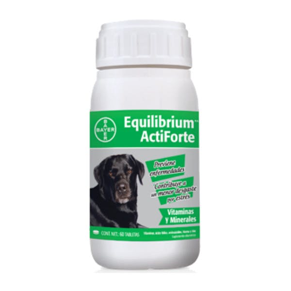 EQUILIBRIUM ACTIFORTE 60 TAB