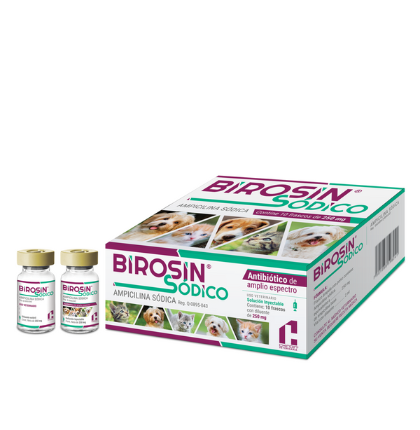 BIROSIN SODICO SOL INY 250 MG