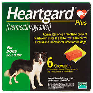 HEARTGARD PLUS VERDE MEDIANO