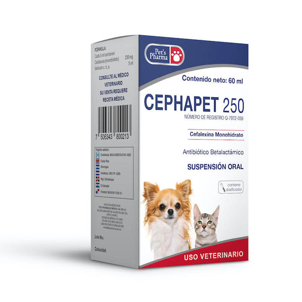 CEPHAPET 250 60 ML