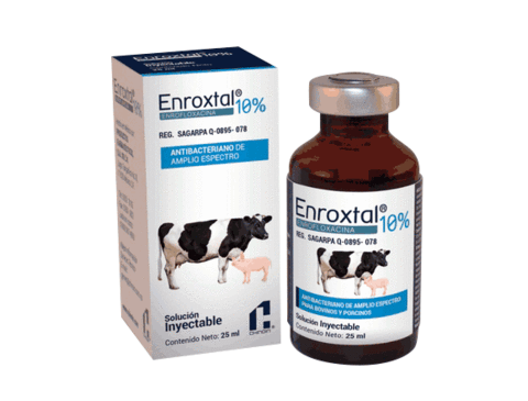 ENROXTAL SOL INY 10% 25 ML VET