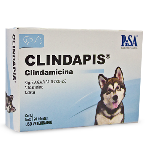 CLINDAPIS C/20 TAB