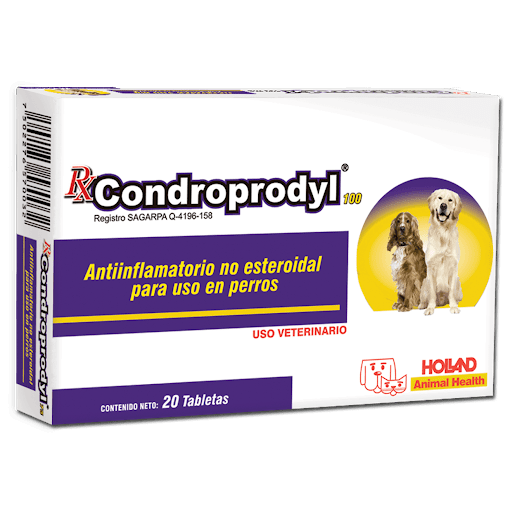 CONDROPRODYL 100 MG