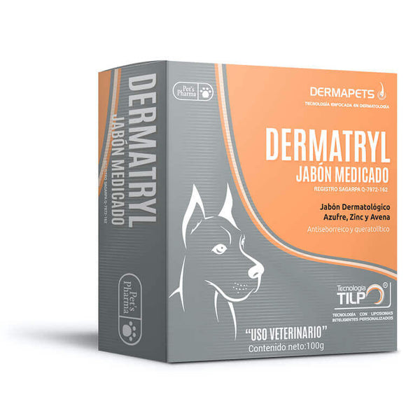 DERMATRYL MEDICADO 100 GR