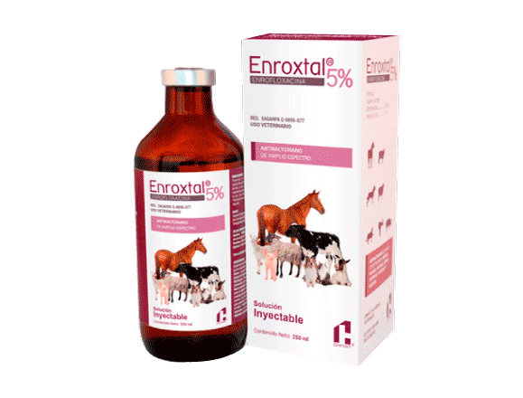 ENROXTAL SOL INY 5% 25 ML VET