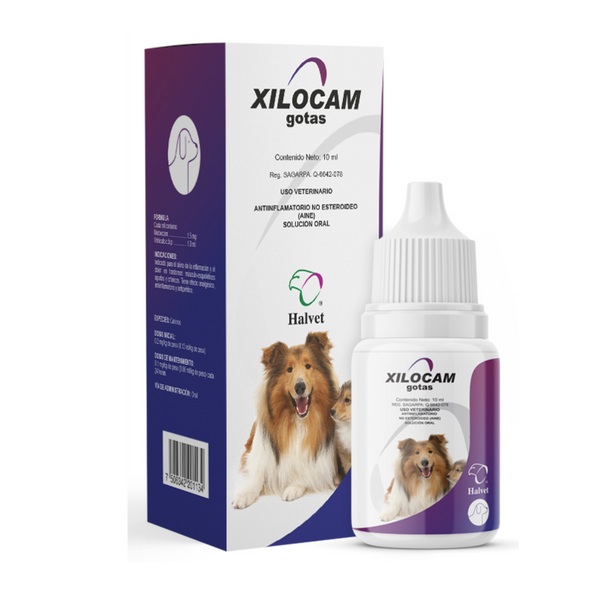 XILOCAM GOTAS 10 ML