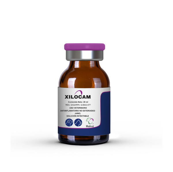 XILOCAM 20 ML