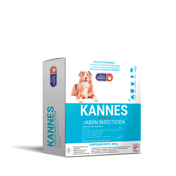 KANNES JABÓN INSECTICIDA 100 G