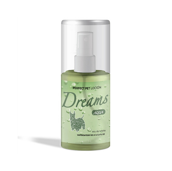 DREAMS AQUA 100 ML*