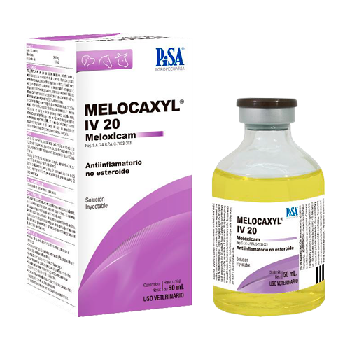 MELOCAXYL IV SOL INY FCO 20 ML
