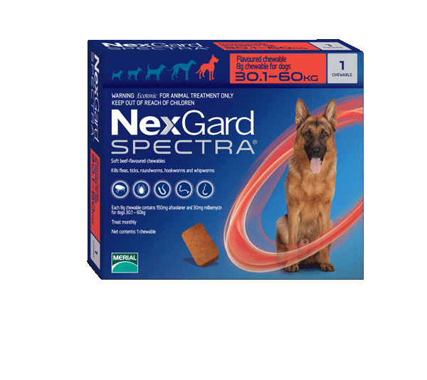 NEXGARD SPECTRA S 30.1 - 60 KG 1TAB