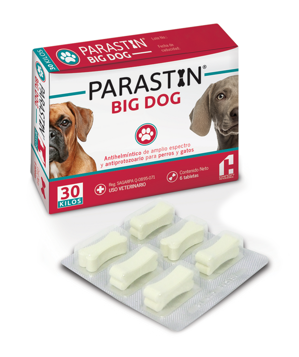 PARASTIN BIG DOG TABS C/6 VET