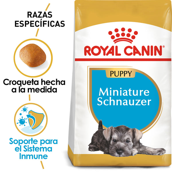 SCHNAUZER PUPPY 1.14 KG