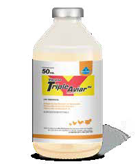 TRIPLE AVIAR PM 50 ML BACTERINA