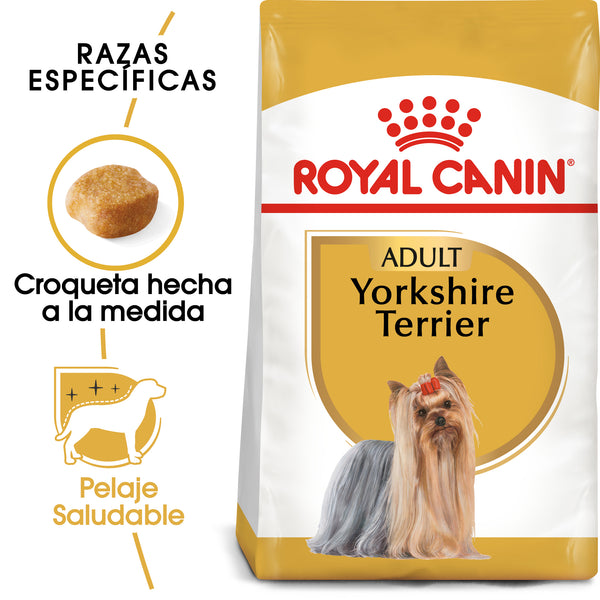 YORKSHIRE TERRIER 4.54 KG