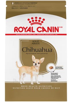 CHIHUAHUA 4.55 KG