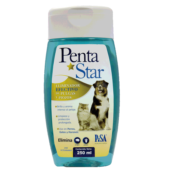 PENTA STAR SHAMPOO 250 ML