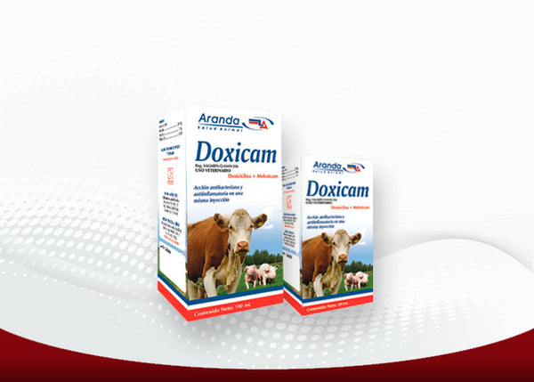 DOXICAM 20 ML