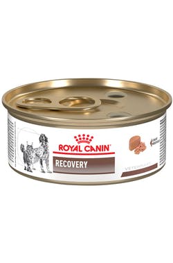 LATA RECOVERY CANIN/FELINE 145 GR